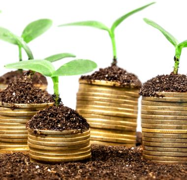 The Annual Investment Allowance Related image