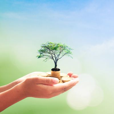 What is the new National Wealth Fund Related image