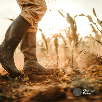 Averaging Relief for Farmers, Authors and Creative Professionals Related image