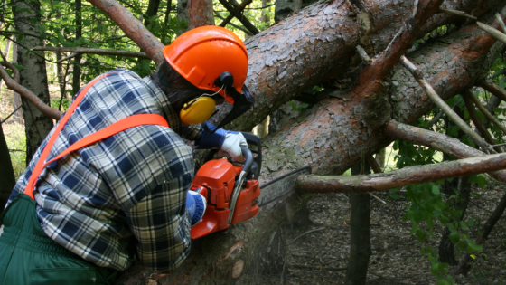 Claim flat rate expenses for work clothing and tools image