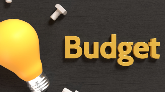 Budget Summary November 2025 image