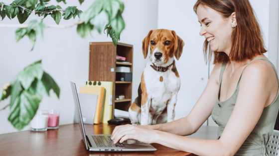 New rules for working from home from April 2026 image