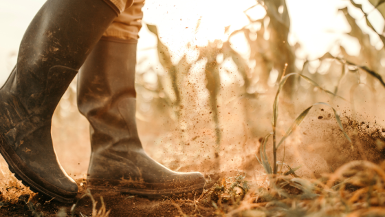 Averaging Relief for Farmers, Authors and Creative Professionals image