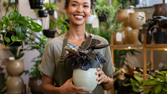 Cash Basis Accounting: Is Your Business Eligible? image
